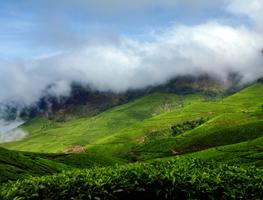 Wayanad Weekend Tour