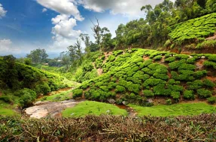 Kerala Tour packages